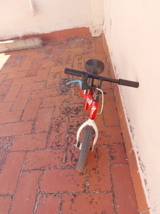 Bicicleta infantil sin pedales