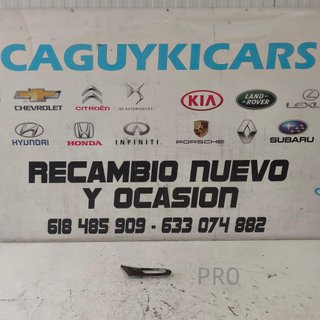 EMBELLECEDOR PUERTA DELANTERA DERECHA CITROEN NUEVO 9119C7