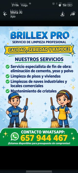 Servicio de limpieza profesional