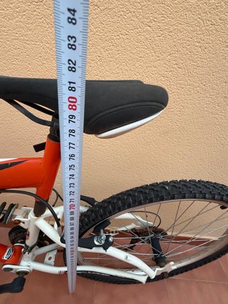Bicicleta de Montaña