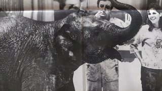 Cartel Cine El Guateque Peter Sellers 1968