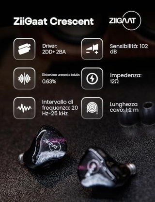 ZiiGaat Crescent IEM 2DD+2BA Auricolari