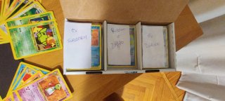 Carte Pokemon