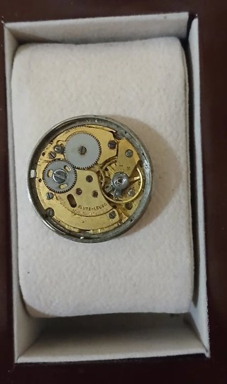 Favre Leuba Sea Chief Reloj Suizo