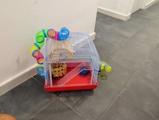 Jaula para hámster con accesorios