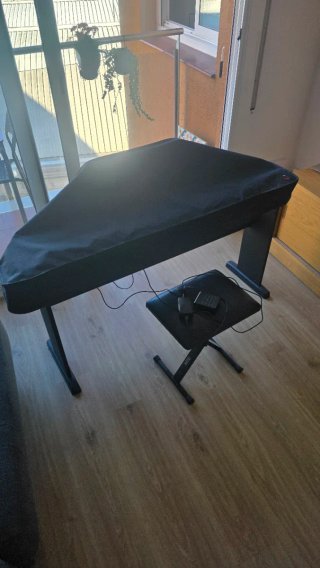 Piano Casio CDP-S110