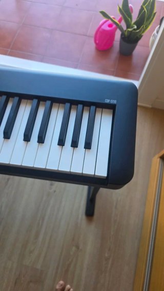 Piano Casio CDP-S110