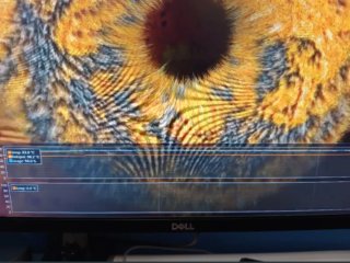 Scheda Grafica Aorus RTX 3070 Master