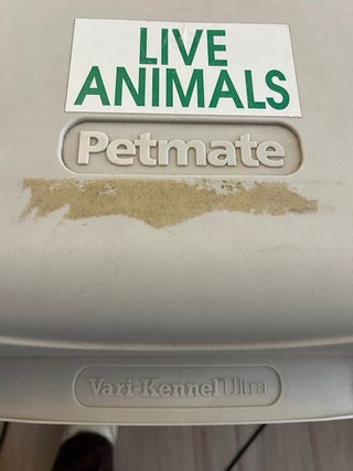 Transportín Perro Vario Kennel Ultra Rígido