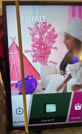 TV LG 49 49LH590V