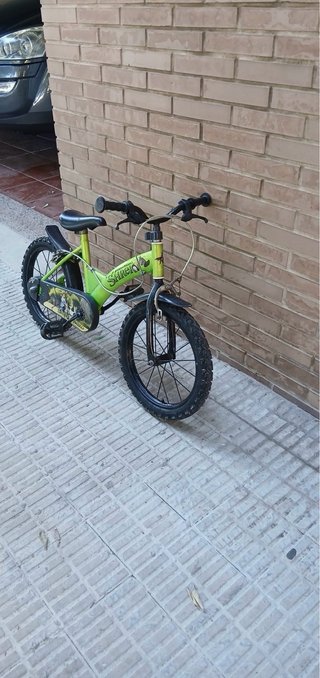 Bicicleta infantil verde