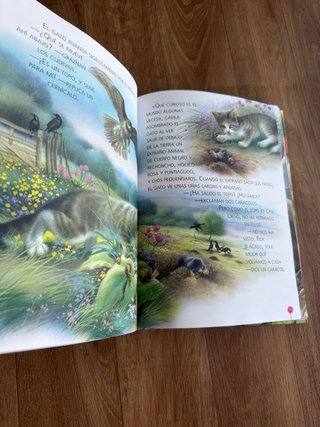 Libro infantil Historias de animales