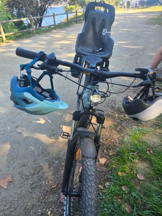 Bicicleta eléctrica Liv Temp