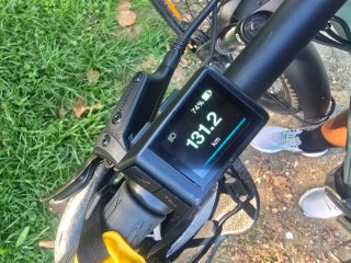 Bicicleta eléctrica Liv Temp