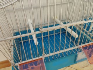 Gabbie per uccelli (2 unità)