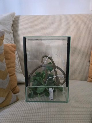 Terrario de cristal con decoración