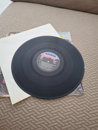 Vinilo Rant n' Rave Punk Rock