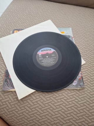 Vinilo Rant n' Rave Punk Rock
