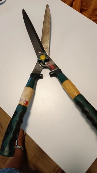 Tijeras de podar setos