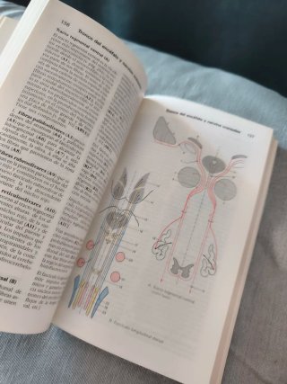 *ATLAS DE ANATOMIA, VOL.2 Sist y organos de sentid