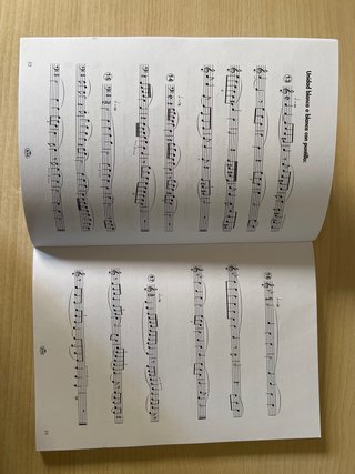 Libro Ritmo y Lectura 3
