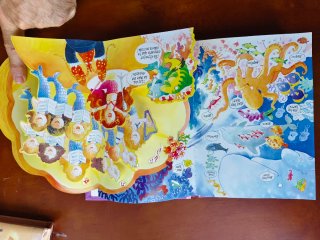 Libros desplegables