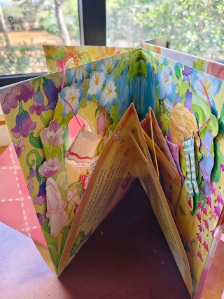 Libros desplegables