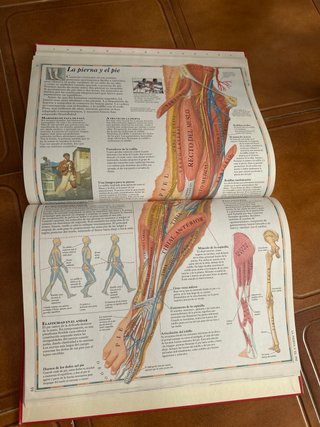 Los Grandes Atlas Visuales – El Mundo, El Cuerpo,