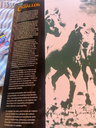 Libro Un mundo de Caballos