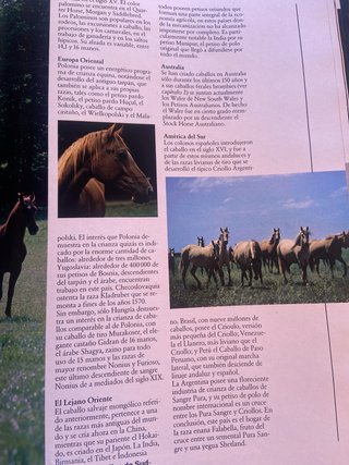 Libro Un mundo de Caballos