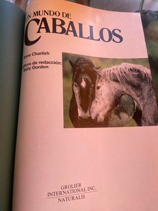 Libro Un mundo de Caballos