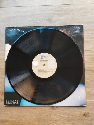 Vinilo Gloria Estefan Into The Light