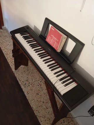 Teclado Yamaha Piaggero NP-12