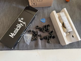 Clavijeros Squier 2 pin black 6R