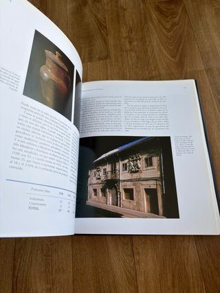 Libro Historia de Palencia