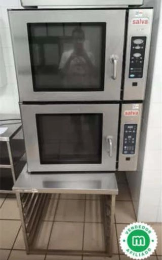Horno profesional Salva