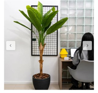 Platanera Artificial 180cm