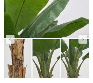 Platanera Artificial 180cm