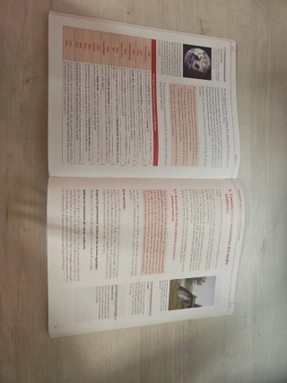 Economía, 1 Bachillerato