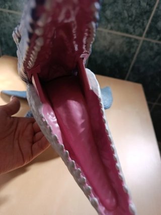 Mosasaurio dinosaurio grande