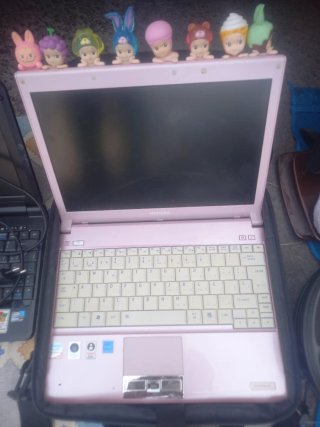 Portatile Toshiba Rosa con Figure