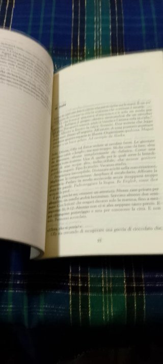 Cercasi Niki Disperatamente (Italian Edition)