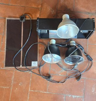 Conjunto terrario con focos y termico