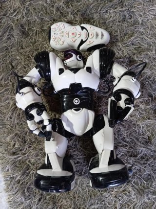 Robot blanco y negro