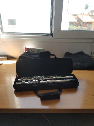 Flauta Travesera Amadeus con funda original.