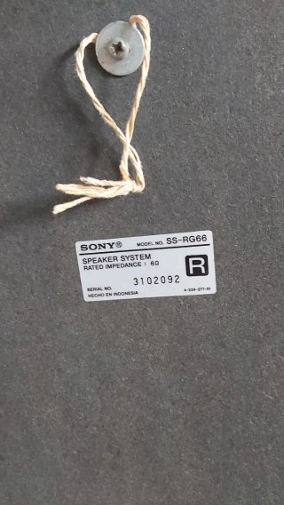 Altavoces Sony Plata y Negro