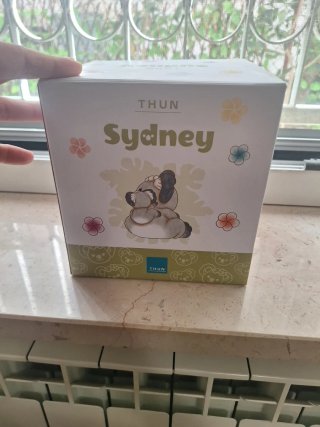 Scatola Thun Sydney Koala