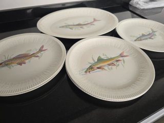 Lote 6 platos vajilla peces pontesa