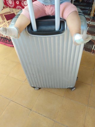 Maleta grande 20/30 kg gris