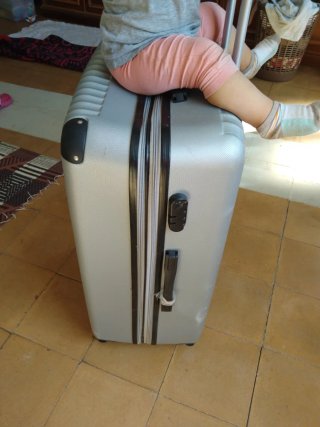 Maleta grande 20/30 kg gris